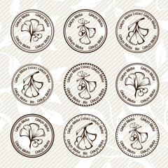 Ginkgo biloba.  Circle stamps collection.