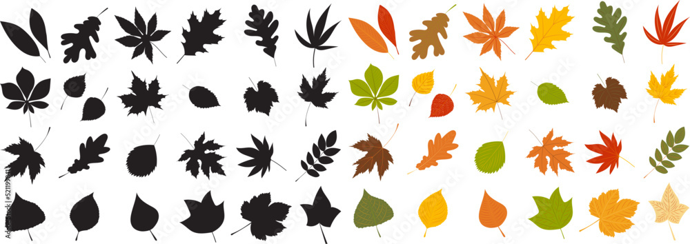 Wall mural silhouette leaves set autumn on white background isolated, vector