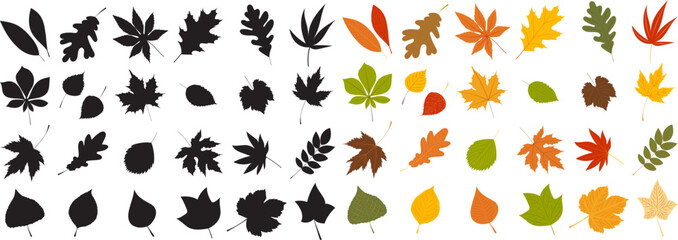silhouette leaves set autumn on white background isolated, vector - obrazy, fototapety, plakaty