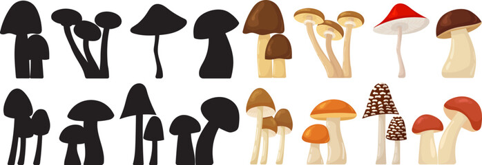 mushroom collection in flat style, isolated, vector