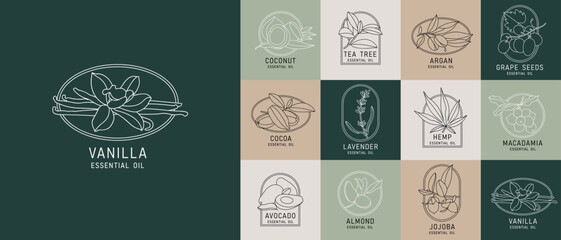 Vector seamless pattern with durian fruits. Abstract design for paper, cover, fabric.