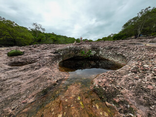 plateau in forest region