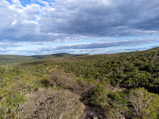 plateau in forest region