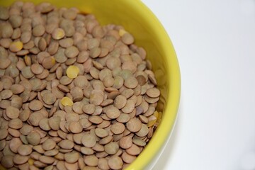 Brown Lentils (Lens culinaris) Close-up in a bowl on a white background, top view.