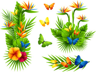 Tropical decorative vector elements.