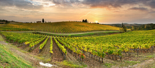 Autumn season. Spectacular vineyards in Tuscan countryside at sunset with cloudy sky in Italy.