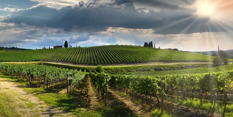 Fototapeten Green vineyards in tuscan countryside at sunset with cloudy sky in Italy. © Dan74