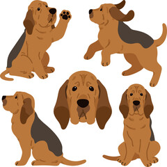 Simple and adorable Bloodhound dog illustrations flat colored - obrazy, fototapety, plakaty