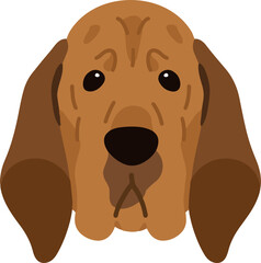 Simple and adorable Bloodhound dog illustration front head flat colored - obrazy, fototapety, plakaty