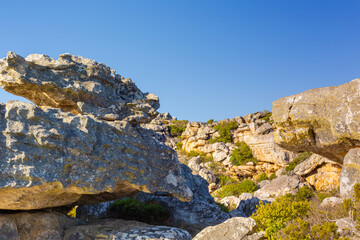 Rugged mountain landscape with fynbos flora in Cape Town.