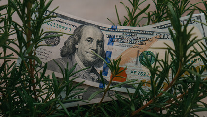 dollars in grass