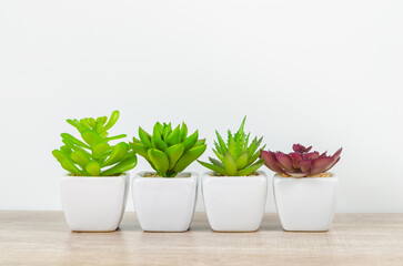 The Artificial cactus plant pot on wooden table.