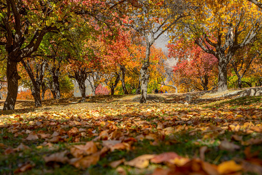 「Gilgit」の画像 6,434 件の Stock 写真、ベクターおよびビデオ Adobe Stock