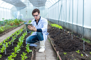 Scientist using Tablet or Smart Phone. Scientist work at Vegetable Garden Lab site	