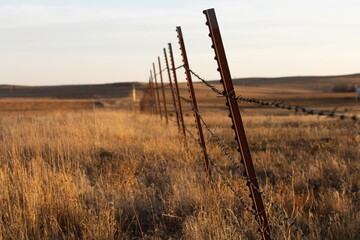 Leaning barbwire fence on a rural field in Calhan, Colorado