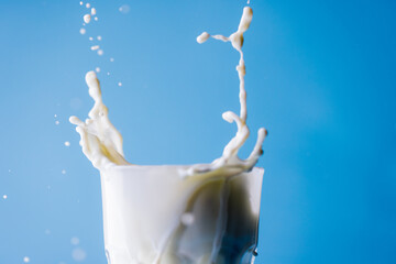 Close-up of spilled milk from glass against blue background, copy space