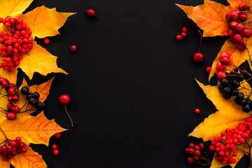 Bright maple autumn leaves and red berries on a black background.Creative autumn flat lay.Copy space,top view. - obrazy, fototapety, plakaty