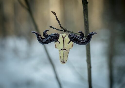 Ornamental bool skull hanging from the tree branch on a winter day