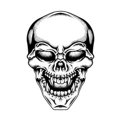 Skull Vector Illustration