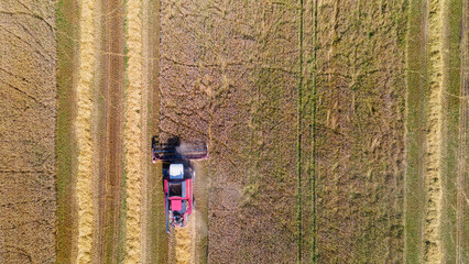 Aerial view combine harvester harvesting on the field. Harvesting wheat. Harvester machine working in field.
