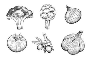 Hand drawn black outline engraved vegetables set. Isolated elements for label, restaurant menu, doodle illustration.