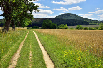 Fototapeta na wymiar Rip Mountain landscape from Roudnice nad Labem