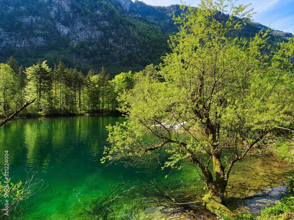 Poster beautiful view of the calm lake with reflection of trees in the water