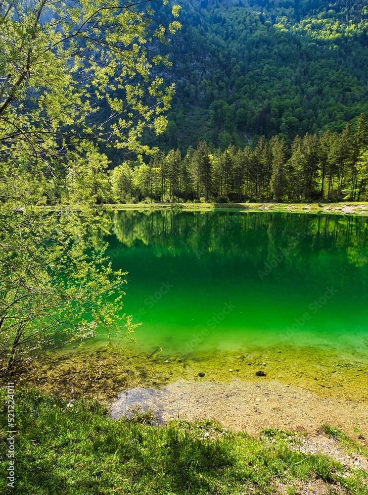 Poster beautiful view of the calm lake with reflection of trees in the water