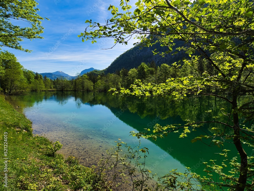 Poster beautiful view of the calm lake with reflection of trees in the water