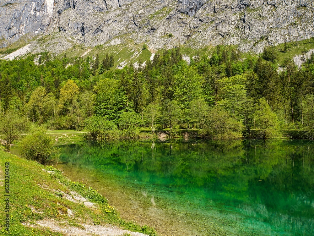 Poster beautiful view of the calm lake with reflection of trees in the water