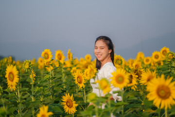 beautiful sweet girl asia  in a white dress walking on a field of sunflowers , smiling a beautiful smile,cheerful girl,style, lifestyle be happy