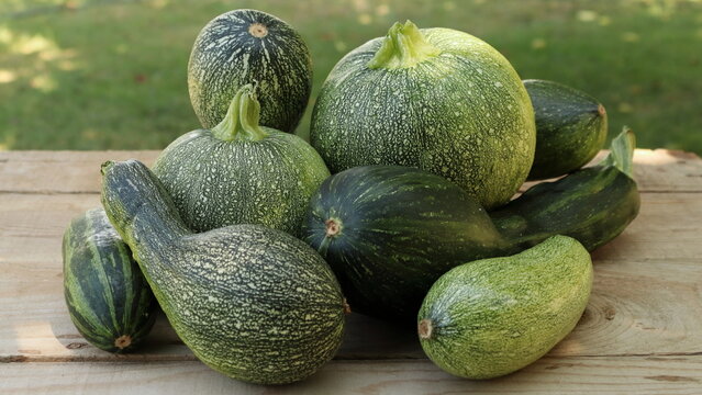 zucchine di vari tipi