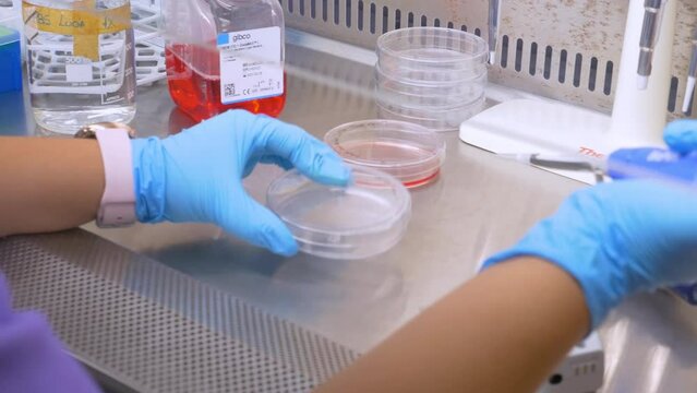 4k real time - hospital staff carrying out medical research in the laboratory with pipettes, test tubes, samples, etc...