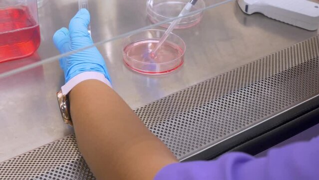 4k real time - hospital staff carrying out medical research in the laboratory with pipettes, test tubes, samples, etc...