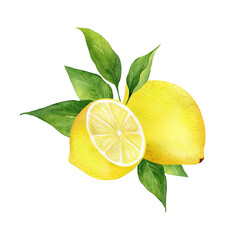 Watercolor lemon compositions set. Arrangements. Half, slice, green leaf, branch of summer tropical fruit. Antiviral health food. Perfect for home decor, card making, cocktail menu.