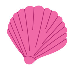 pink conch shell