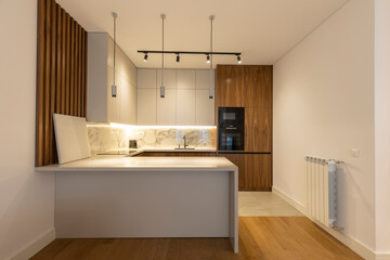 Fototapeta na wymiar Interior of modern wooden kitchen