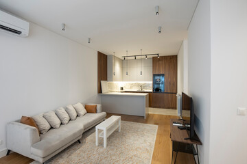 Interior of a open space apartment