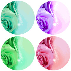 A set of round backgrounds for key Chains. Sublimation Design of a traced Rose photo. Abstract color illustrations of rose flowers.
