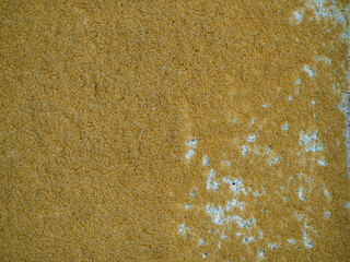 Yellow old wall. Wall texture close up. Background.