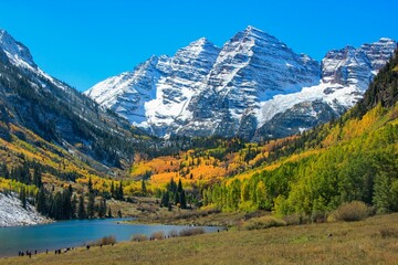 Gorgeous Autumn in Colorado Aspen