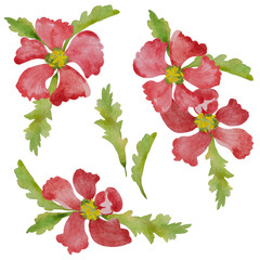 Set of wreaths with red flowers watercolor