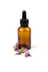 A bottle of essential oil with fresh blooming clary sage twigs on white background.