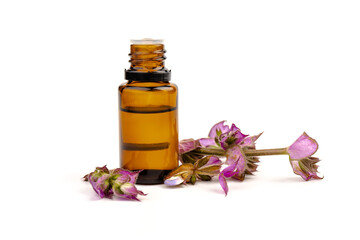 A bottle of essential oil with fresh blooming clary sage twigs on white background.