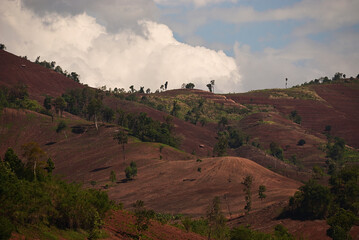 Planting ground of a new crop season on mountain slope after slash-and-burn land clearing. Forest lost and soil erosion form shifting cultivation in southeast asia. - obrazy, fototapety, plakaty