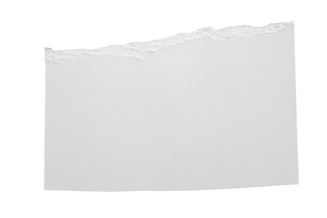 White ripped paper torn edges strips isolated on white background