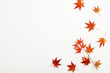 Autumnal concept with fall leaves on white background. Flat lay, top view. Thanksgiving day