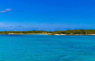 Beautiful tropical natural beach and forest panorama Contoy island Mexico.