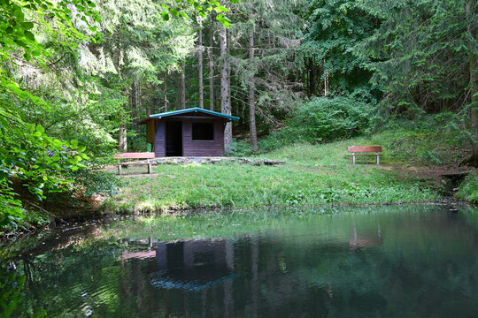 Entspannen an einem kleinen sommerlichen Teich 