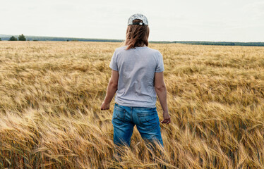 Naklejka na ściany i meble Rear view woman in jeans among yellow dry cereal wheat field agriculture and grain harvest Mockup friendly